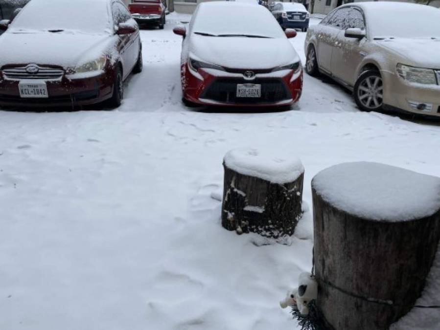 Tan extremas son las condiciones climáticas, que el martes cubrían con nieve el 73 % del territorio estadounidense, que han causado demoras y suspensiones en la campaña para la vacunación contra la covid-19.