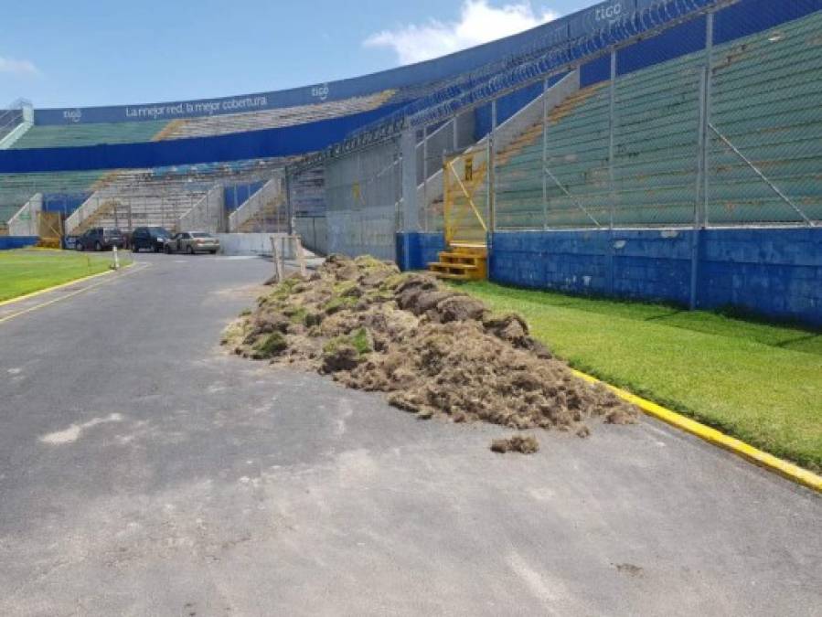Para el partido Motagua-Platense ya se podrá contar con el 20% de la asistencia de público y el Nacional volverá a vivir la pasión del fútbol con la presencia de sus dos clubes: Olimpia y Motagua.