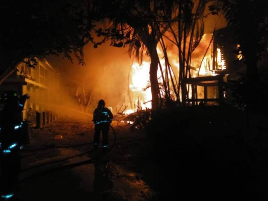 Tampoco había animales propios de la zona que salieran lesionados tras el incendio que provocó temor entre los residentes de la zona. <br/>