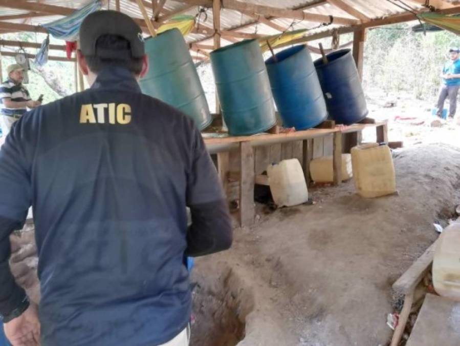 'Se ha llevado a cabo el aseguramiento y las fuerzas operativas de las Fuerzas Armadas están trabajando alrededor del sector para confirmar otro sembradío de coca y si hay otro tipo de campamento para procesamiento de este tipo de drogas', explicó Meza, sin precisar más detalles de la operación.