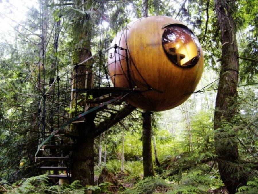 Free Spirit Spheres, en Canadá: Son esferas ancladas en los altos árboles de los bosques tropicales de la isla de Vancouver en Canadá.
