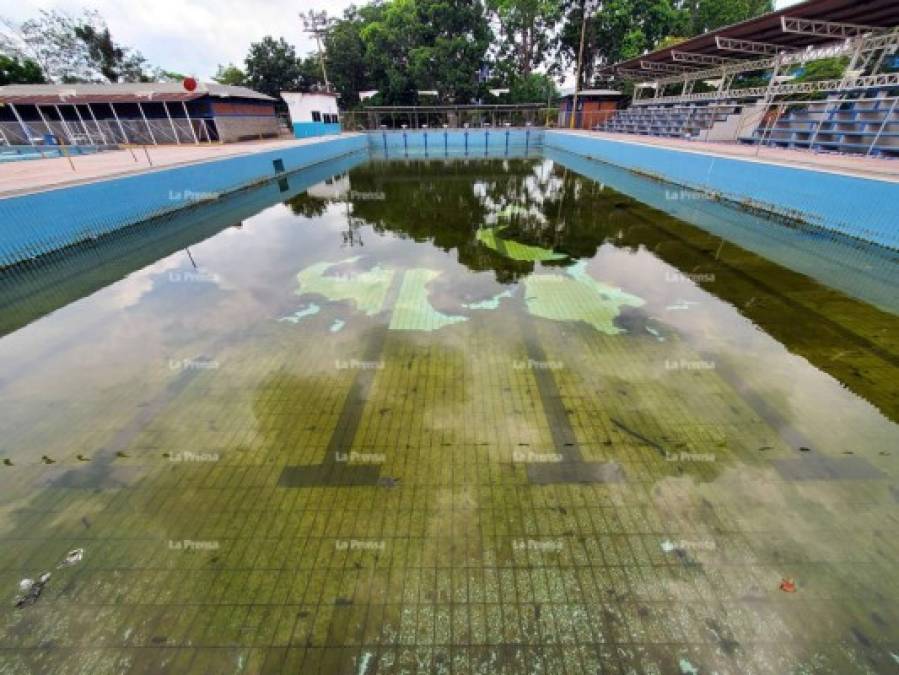 La piscina se ha convertido en criadero de zancudos, anfibios y se encuentra llena de basura.