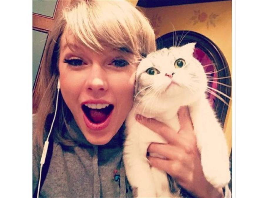Una vez más, pero ahora en el puesto cuatro, Taylor Swift con su mascota Meredith que logró sacar 2,4 millones de likes.