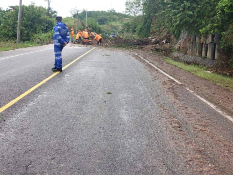 El derrumbe ocurrió a la altura de la comunidad Ceibita, Sur.