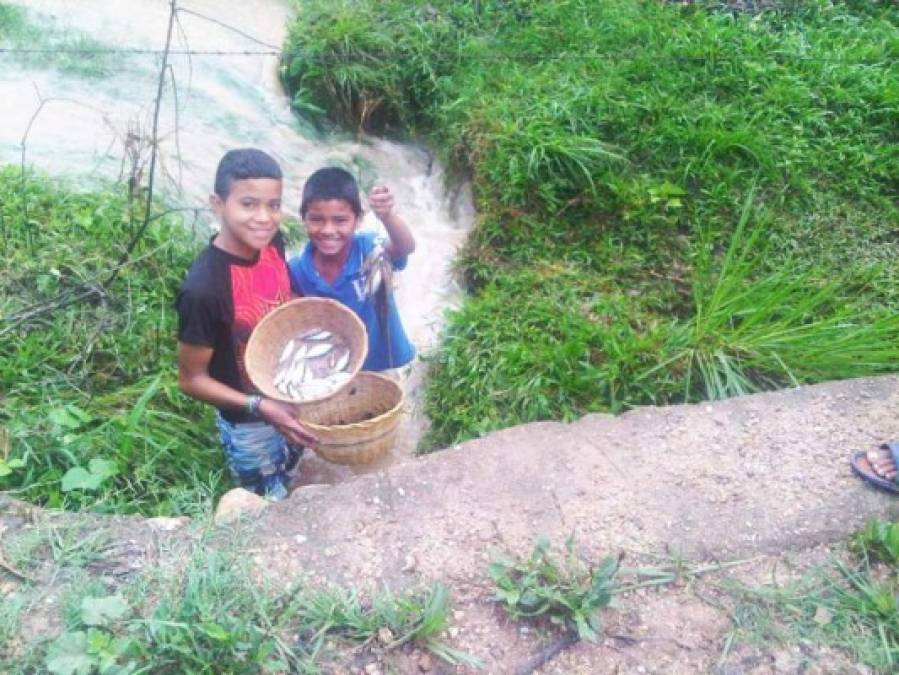 Los menores esperan con ansías el fenómeno. En riachuelos, quebradas y cerca de afluentes los peces 'llueven'.