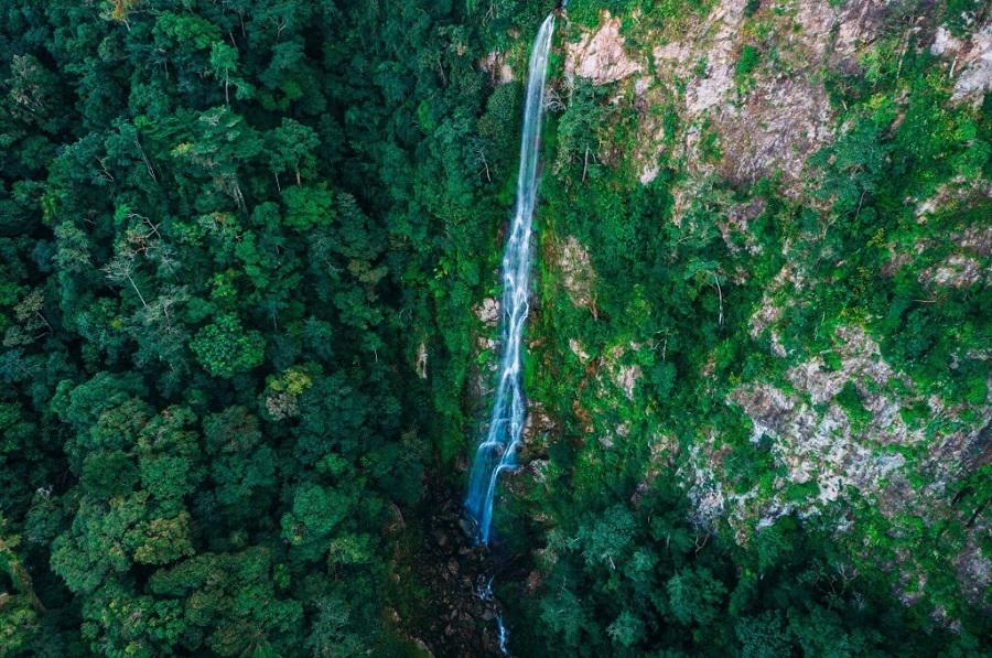 El Bejuco sobresale en Pico Bonito.