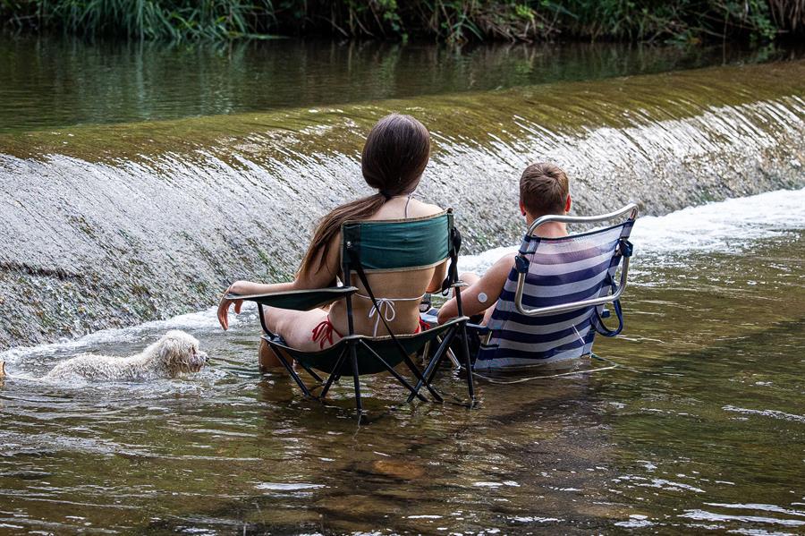 La ola de calor no da tregua y suma ya 238 víctimas mortales