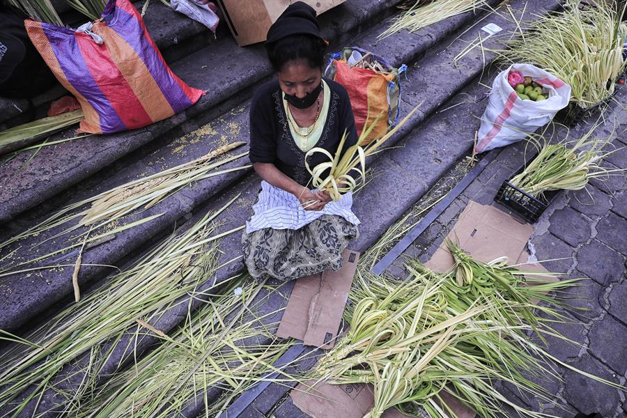 Campesinos llegan con palmas a las iglesias hondureñas previo al Domingo de Ramos