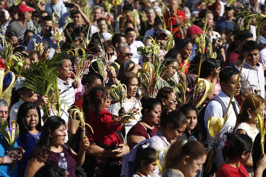 Fe y tradición: las imágenes del Domingo de Ramos en el mundo