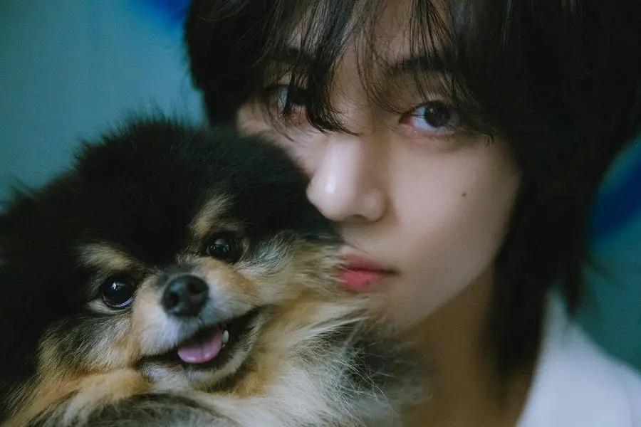¿De qué murió Yeontan, la mascota de Taehyung de BTS?
