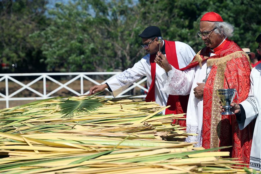 Fe y tradición: las imágenes del Domingo de Ramos en el mundo