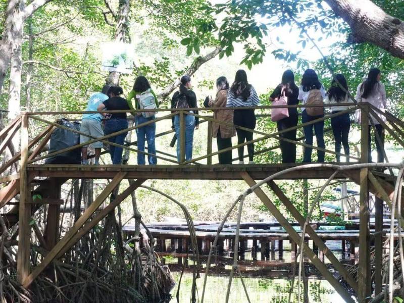 La Laguna de Cacao, un paraíso de agua y biodiversidad que cautiva a los amantes del ecoturismo. Aquí convergen aves exóticas, fauna silvestre y el impresionante paisaje del Caribe hondureño.
