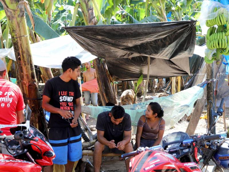 Las invasiones de fincas de banano y palma africana, ha sido un problema que no ha podido solucionar el gobierno de Honduras.