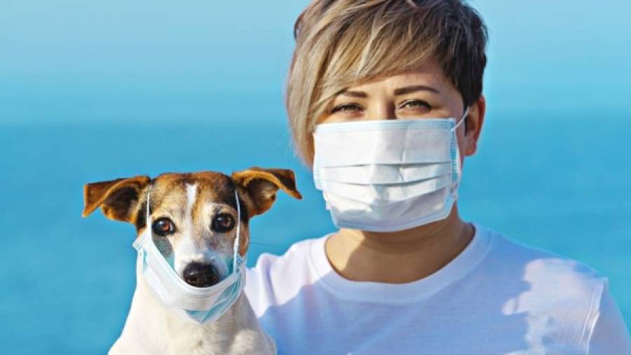 $!Woman in protective surgical mask holds dog in face mask. Chinese Coronavirus 2019-nCoV dangerous for pets.