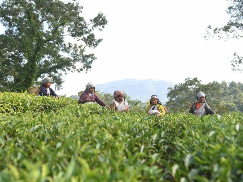 Uno de los temas más consultados es el salario mínimo por actividad económica.