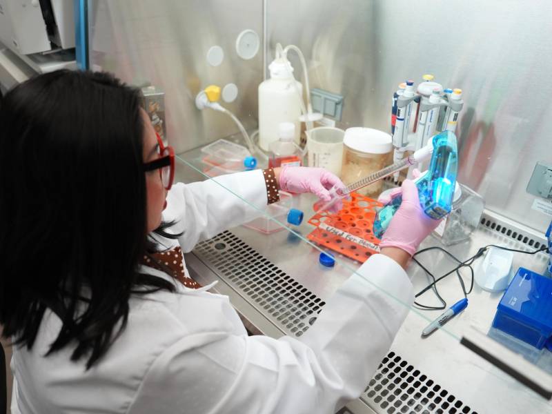 Fotografía del 22 de julio de 2026 que muestra a la científica nicaragüense Lee Seng Lau trabajando en su laboratorio en la Universidad Internacional de Florida (FIU) en Miami (Estados Unidos). EFE/ Alberto Boal