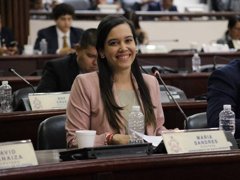 Sandres fue elegida por primera vez como diputada en las elecciones generales de noviembre 2025.