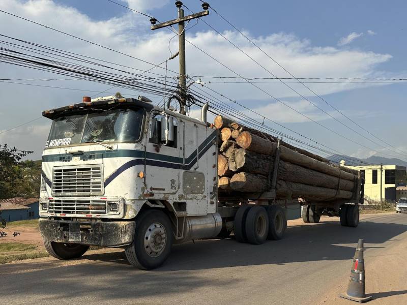Fotografía del 21 de mayo de 2026 de un vehículo transportando pinos cortados, en Catacamas (Honduras).