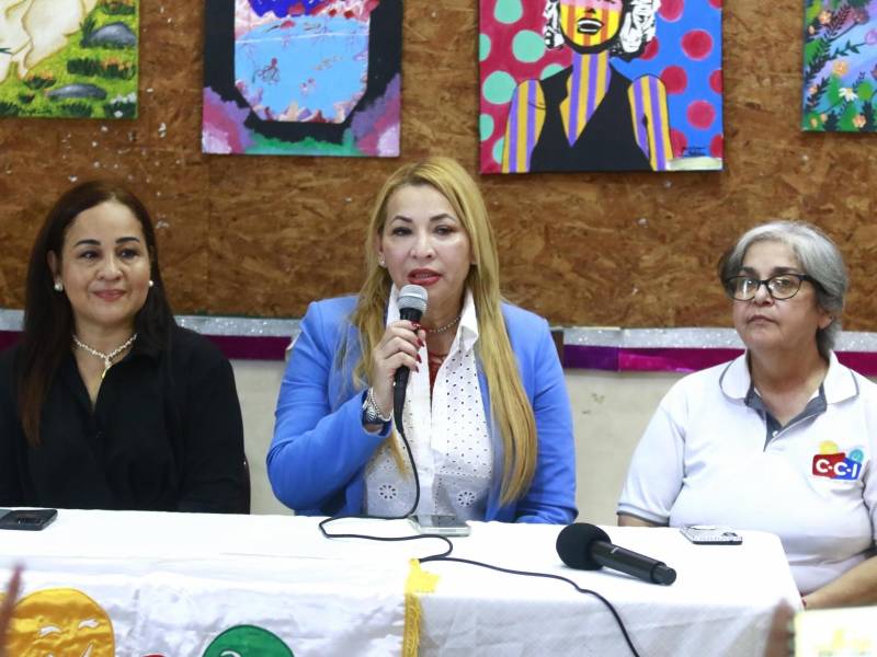 Moisés amaba a la niñez, amaba el arte, y eso es lo que significa esta institución, el CCI. Arte y niñez, expresó Jemima Canelas durante la conferencia de prensa.