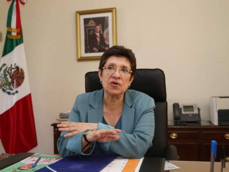 La embajadora Dolores Jiménez dice que los observadores deben ser personal calificado experto en elecciones.