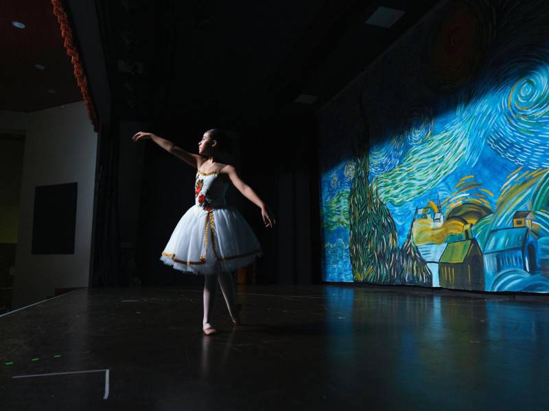 El evento se denominó “Art in Motion”, y fue presentado por Assemblé Studio, una academia de danza creada recientemente por la joven artista nacional Hary Ríos. El evento se llevó a cabo durante dos días, en el Teatro María Teresa Alvarado de San Pedro Sula.