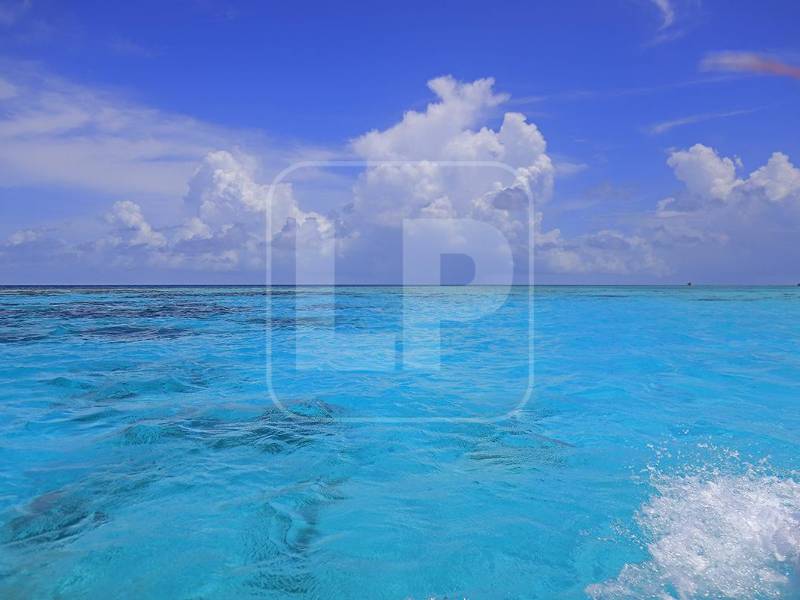 Así de hermoso y turquesa es el azul del mar cuando la lancha se acerca a Lawrence Rock, la piscina natural en medio del mar en el lado oeste de los Cayos Zapotillos. Estos cayos hacen una forma de J inclinada y justo donde comienza esta especie de gancho, es donde se localiza Lawrence Rock.