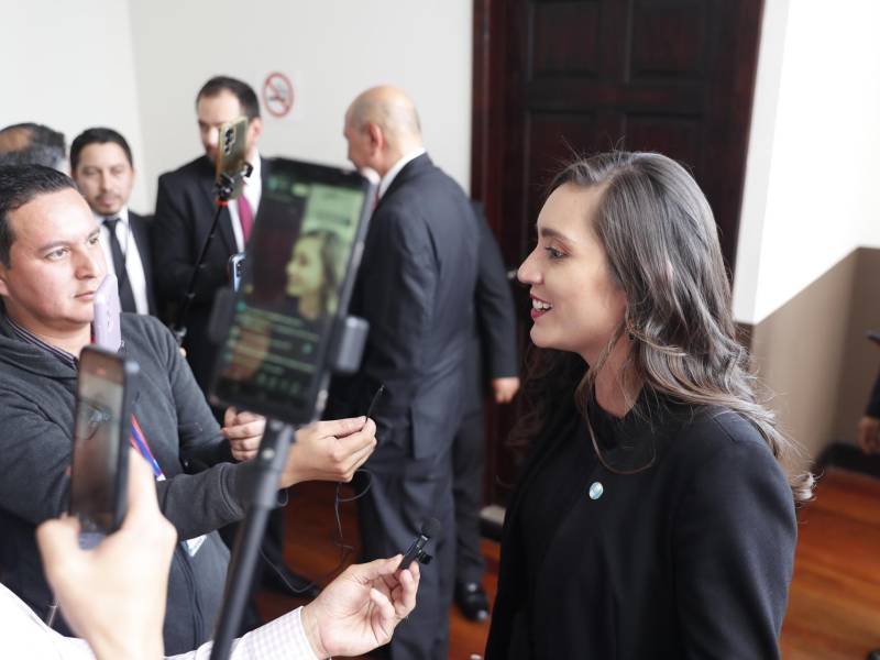 Los diputados de oposición Aldo Dávila, del partido Winaq, y Karina Paz, del partido Vos y reelegida en el cargo, recriminaron que no avanza el proceso para darles posesión a los diputados elegidos en los comicios de junio de 2023, mientras se piden nuevos requisitos que no están en la ley.