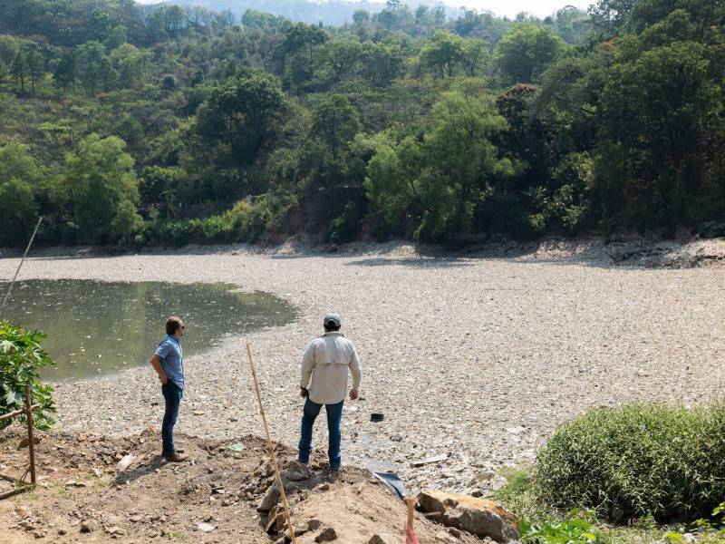 La empresa The Ocean Cleanup se especializa a nivel internacional en la contención de desechos en ríos, lagos y océanos.