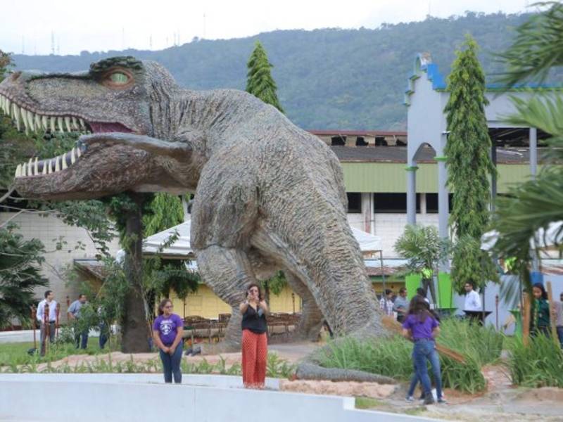 La réplica del dinosaurio es de cinco metros de altura y diez metros de largo, convirtiéndose en el mayor atractivo del museo. Es una de las máximas diversiones durante la Feria Juniana.