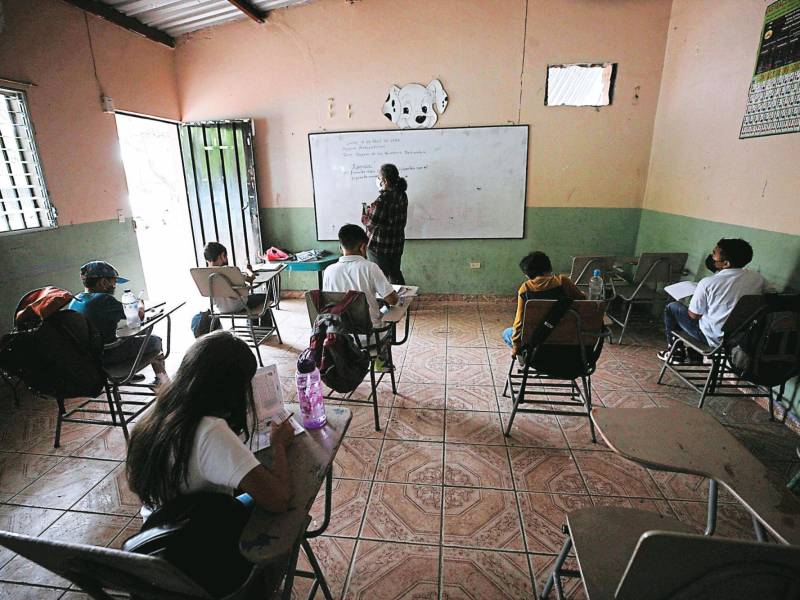 <b><span class=mln_uppercase_mln>plan.</span></b> Ley propone enseñanza de acuerdo al nivel escolar.