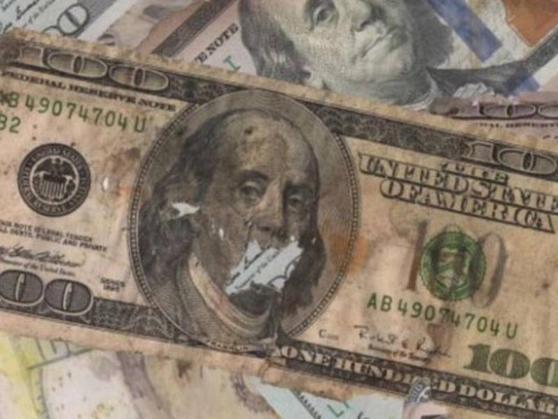 A partir de octubre de 2024, tiendas como Walmart, Dollar Tree, y Target en Estados Unidos dejaron de aceptar billetes de dólar en mal estado.