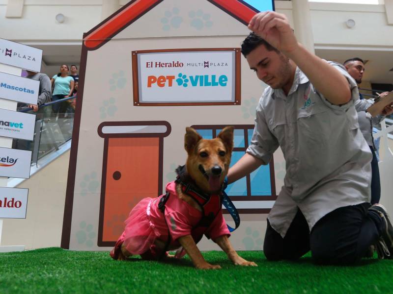 <b><span class=mln_uppercase_mln>Diversión.</span></b> Uno de los participantes de la primera edición del evento posa junto a su mascota.