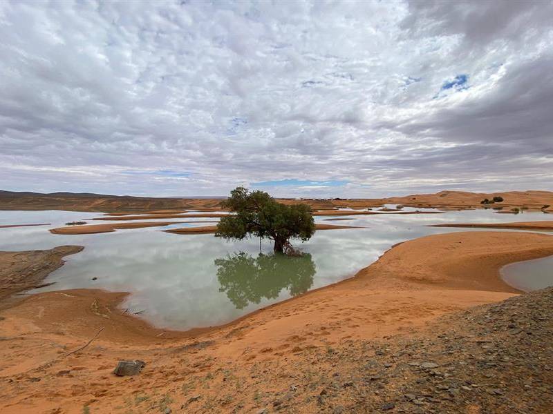 Las lluvias fuertes y excepcionales que azotaron el pasado mes el Sáhara han creado lagunas de agua en medio de las dunas del desierto marroquí de Merzouga y han resucitado un lago seco durante más de cincuenta años en la provincia de Zagora.
