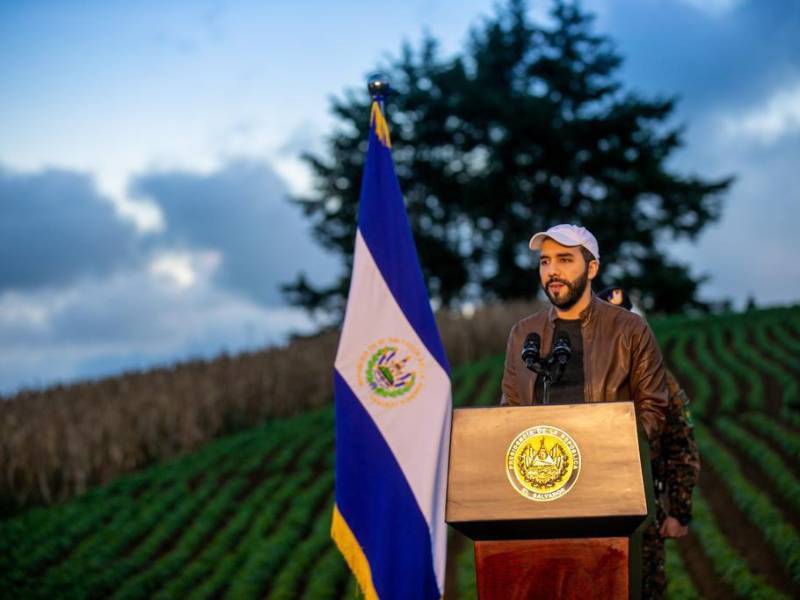 La ausencia de ocho países latinoamericanos en la Cumbre por la Democracia de Joe Biden puede crear un “club de los buenos” y otro de los malos, lo cual sería “contraproducente” para los intereses estadounidenses y la propia democracia en la región, estiman expertos.