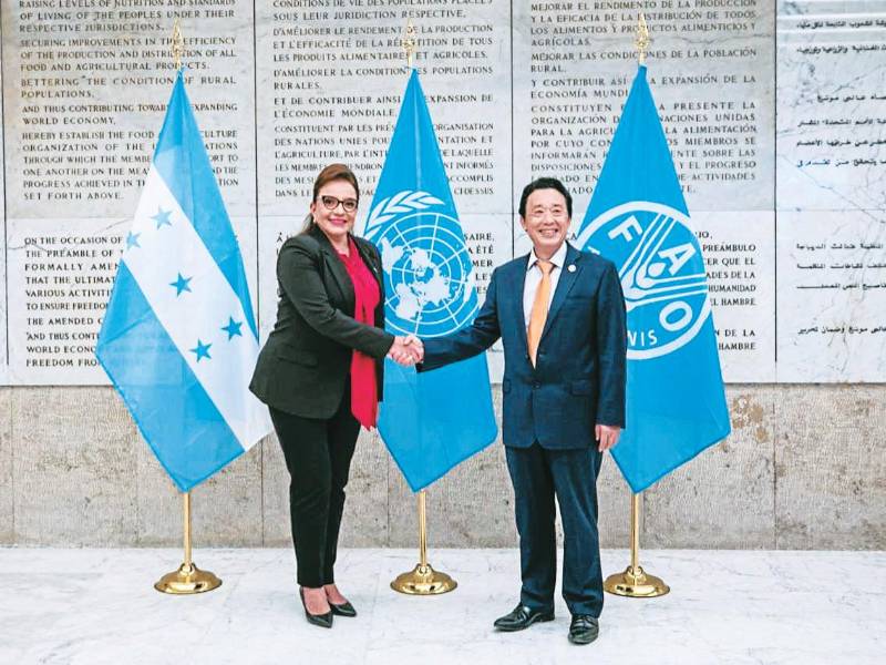 <b><span class=mln_uppercase_mln>roma.</span></b> Tras su disertación en la FAO, Castro se reunió con el director de esa institución, Qu Dongyu, con quien habló de crisis alimentaria.