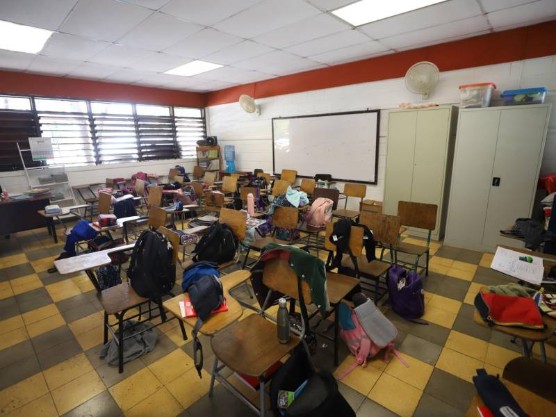 Los libros del sistema público nacional estarán diseñados con temas actualizados.