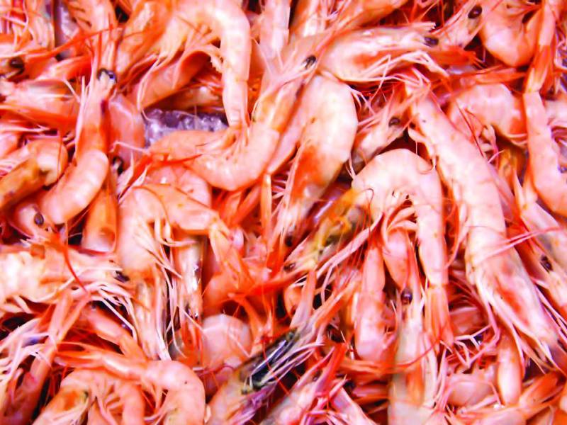 <b>En total, 22,500 hectáreas en el golfo de Fonseca se encuentran cultivadas con camarón en Valle y Choluteca.</b>