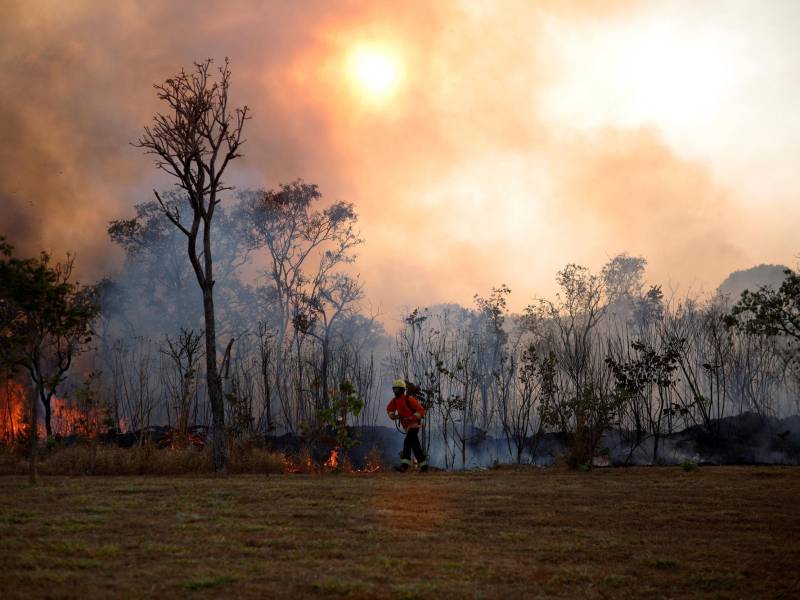 Incendios forestales son el principal factor que reduce la capacidad de los bosques para capturar carbono. (Adriano Machado/Reuters)