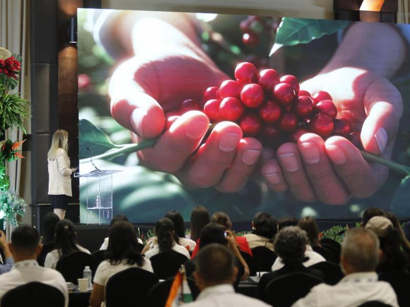 Presentaciones audiovisuales para mostrar el alcance del café en el mundo.