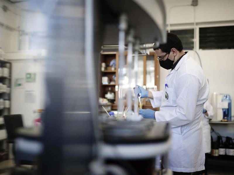 Los reguladores sanitarios ya analizan la efectividad que podrían tener o no las vacunas aprobadas hasta hoy.