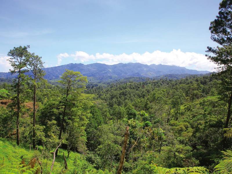 <b>Aunque la montaña aún es verde, enormes amenazas la acechan y urge reforzar su protección.</b>