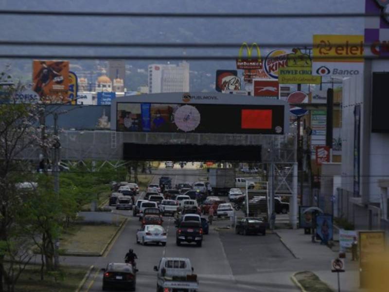 Los Sinager regionales deberán estructurar comité de vigilancia para el cumplimiento de esta disposición.