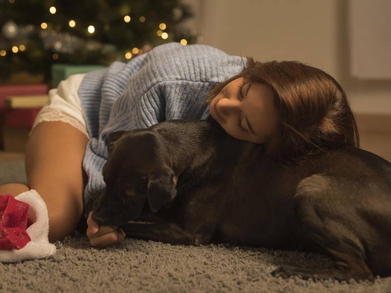 Abrazar a sus perros les dará mucha calma, puede ponerles música instrumental durante las explosiones.