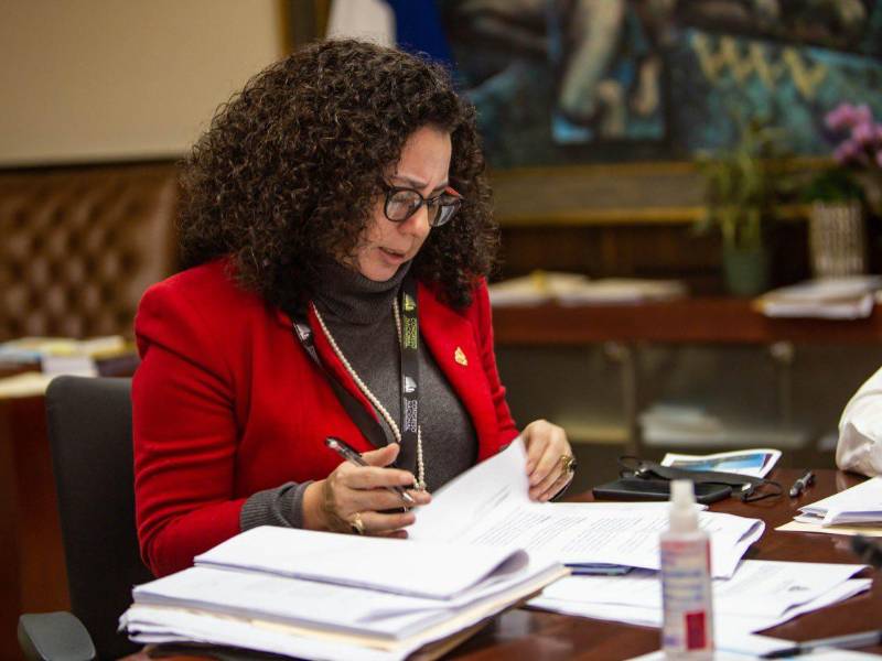 Ligia Ramos, diputada del PSH, en el Congreso Nacional de Honduras.