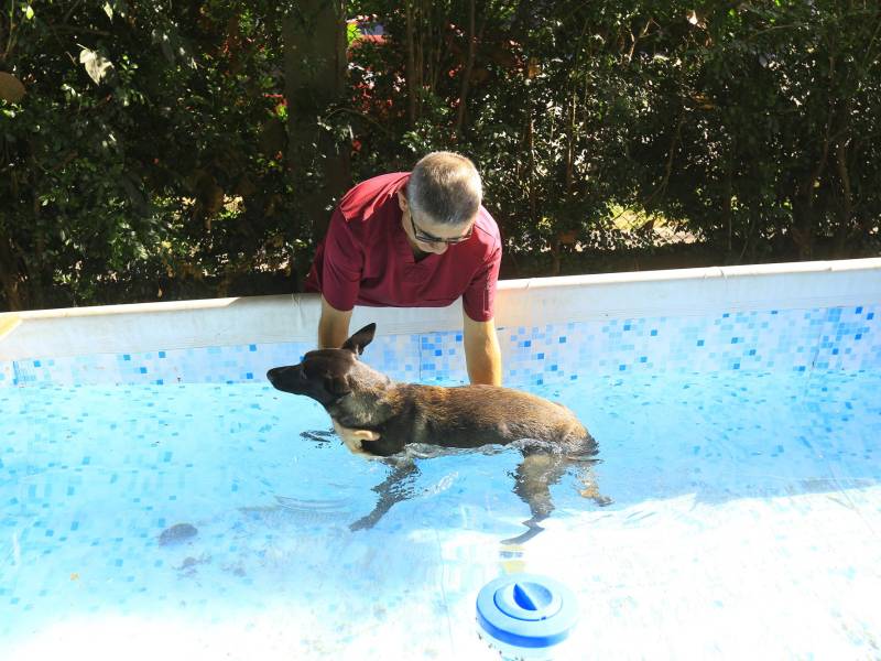 <b>AMOR Y RESPETO. </b>El contacto con la naturaleza es prioridad, por eso hay un parque con piscina y grama, asimismo, veterinarios y servicio de grooming.