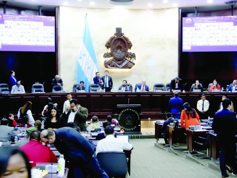 <b>El Congreso Nacional sesionó ayer aprobando la Ley Procesal Electoral del TJE.</b>