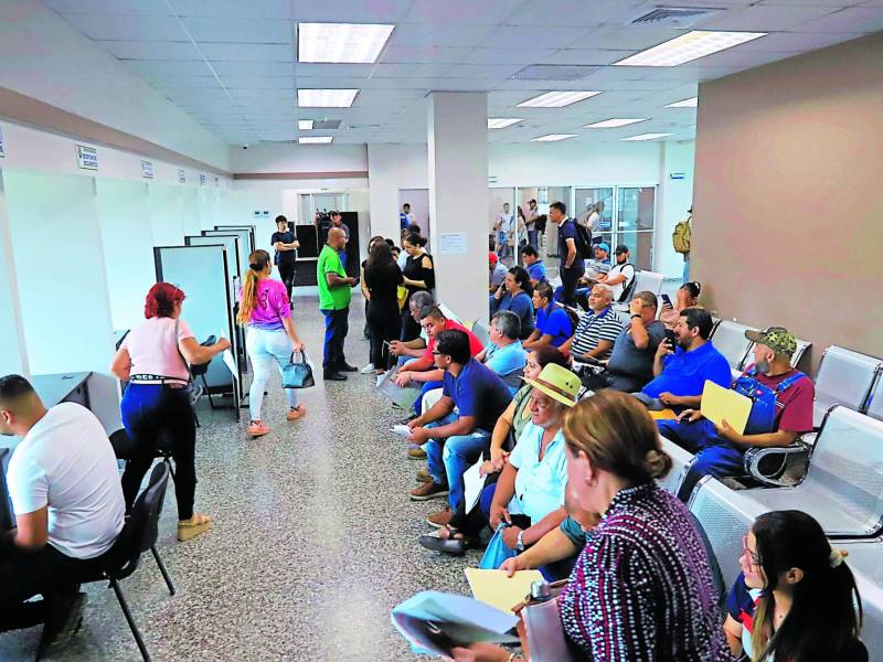 Un grupo de sampedranos espera su turno para tramitar su permiso de conducir. Foto: Melvin Cubas