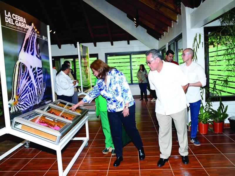 El centro de visitantes del Jardín Botánico Lancetilla cuenta con alta tecnología con la que explican la historia, flora, fauna y la experiencia que se vive en el lugar que es único en Honduras. Fotos: Héctor Edú