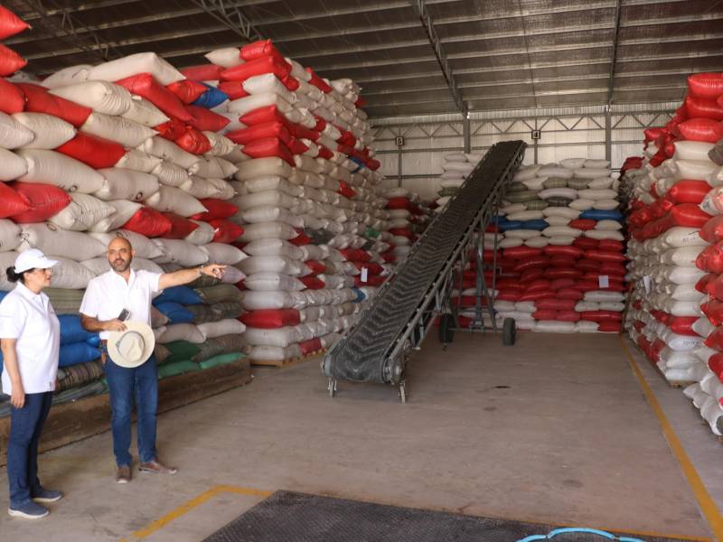 El café se almacena en beneficios que luego exportan el grano al mercado internacional.