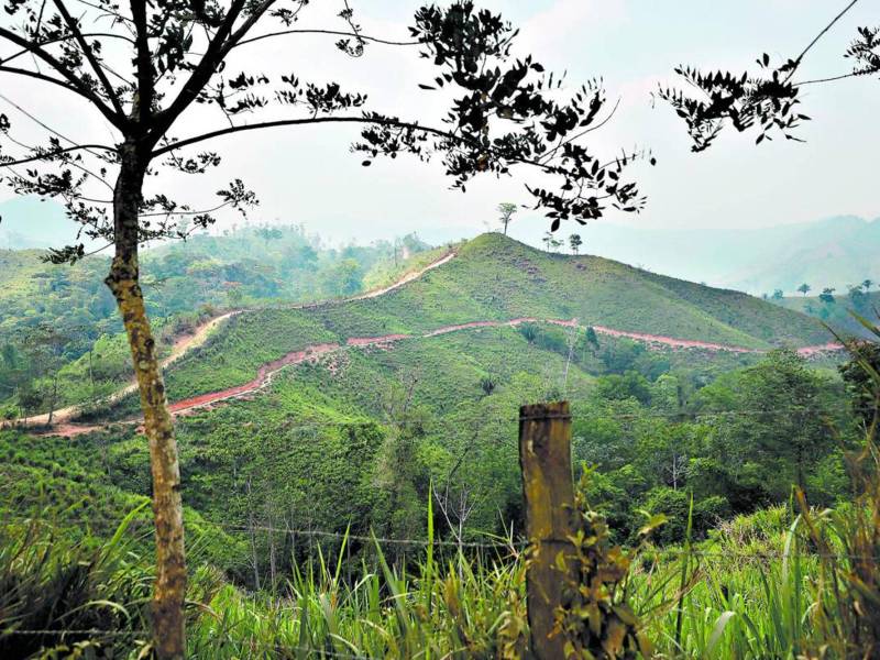 La desmedida deforestación de la biosfera del río Plátano ha provocado que cauce de los ríos haya disminuido ostensiblemente. Fuerzas Armadas envían 100 efectivos para resguardar territorio.